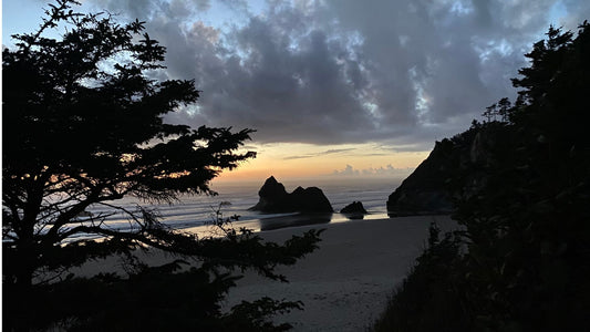 Misty Pacific coastline at dusk, framed by dark evergreen trees, with waves rolling toward a quiet beach and rocky sea stacks silhouetted against a soft, glowing sky.